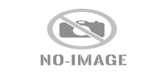 Primary School Curriculum